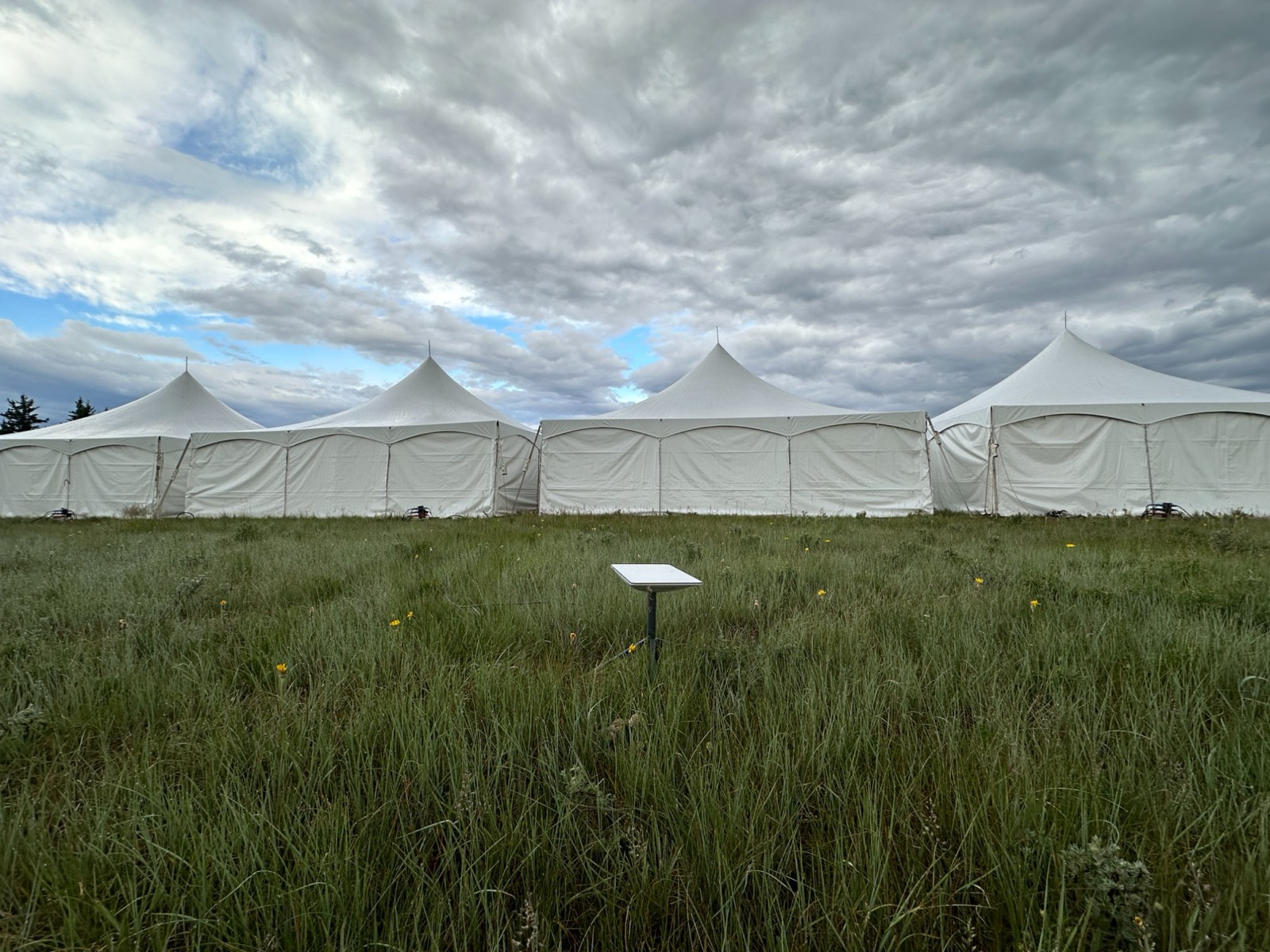 Starlink dish in open field with production tents and dramatic sky